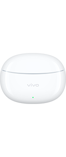 vivo Buds
