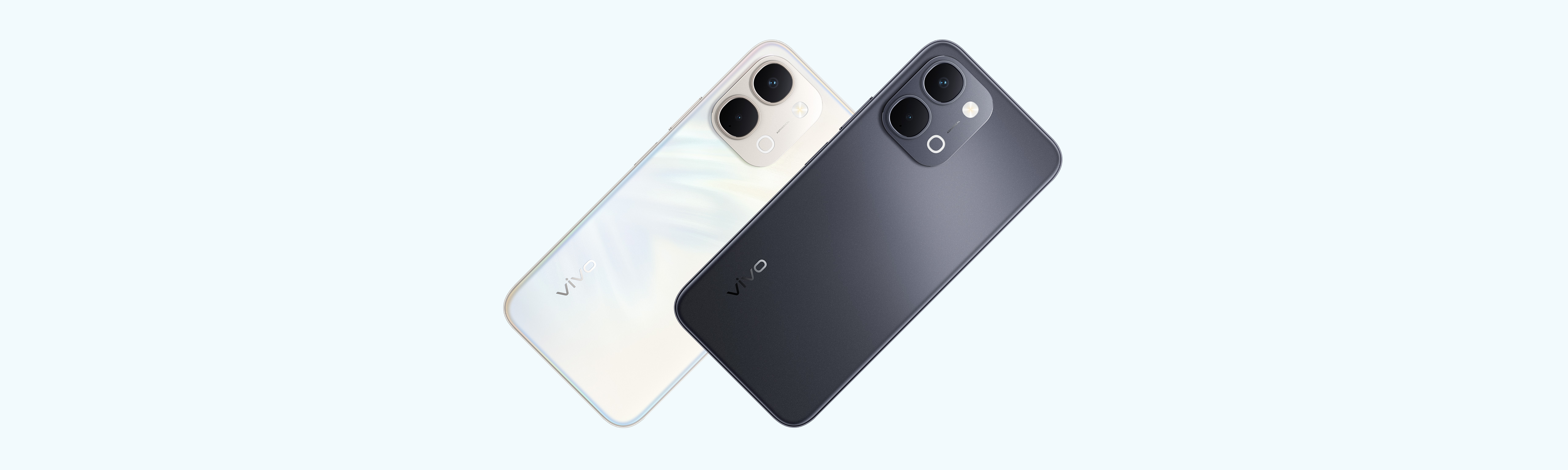 Y31d