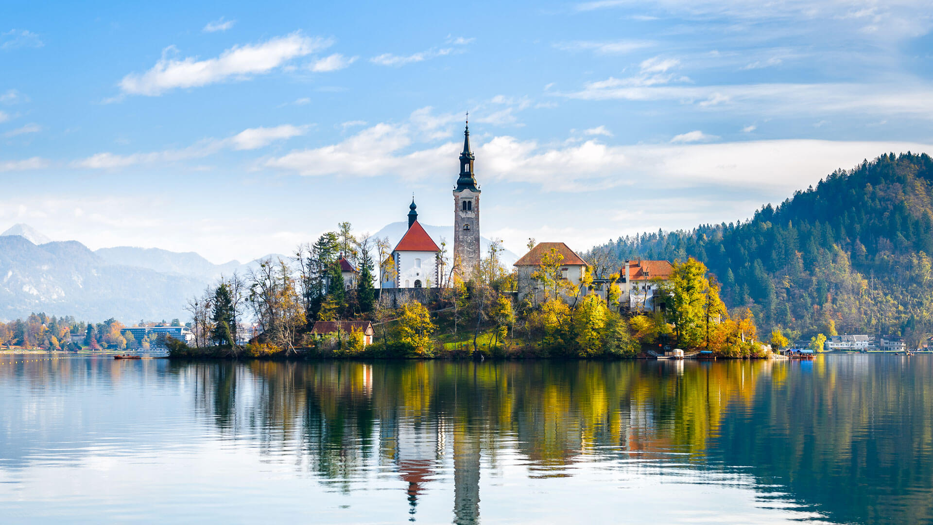 vivo Y15s - Big Screen Mobile Phone | vivo Global