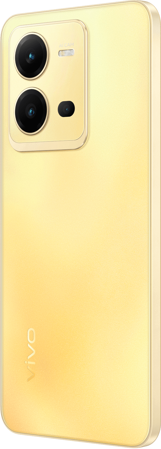 vivo product page