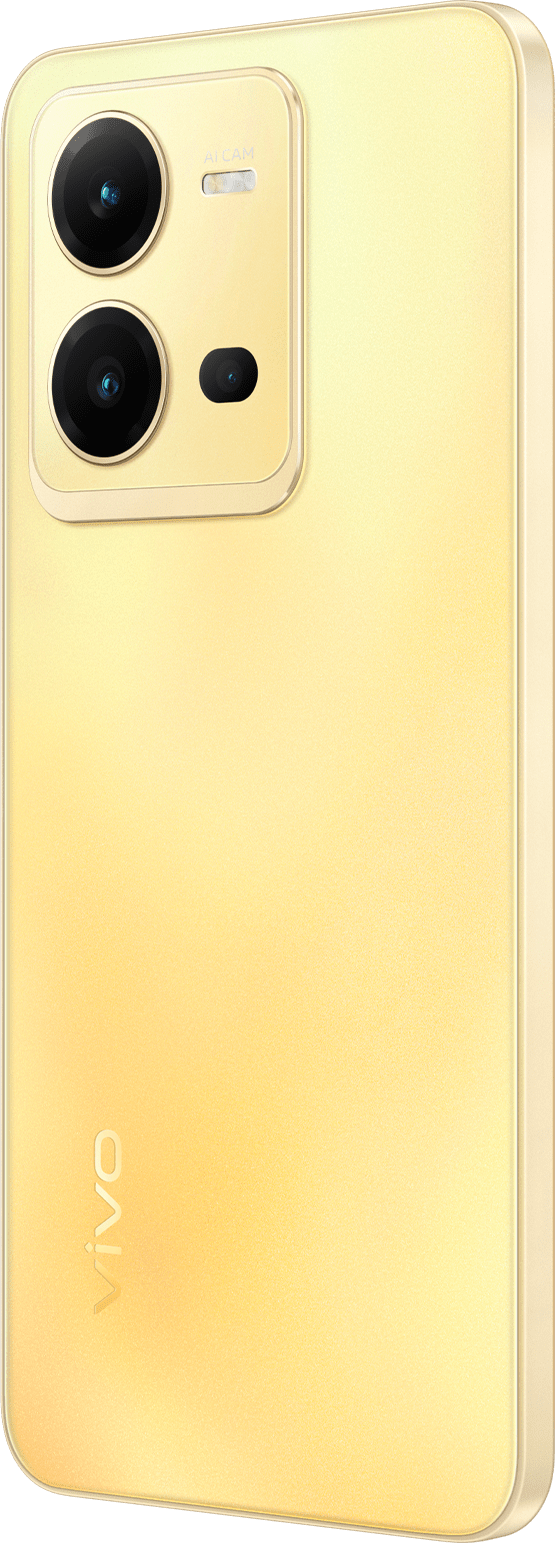 vivo product page