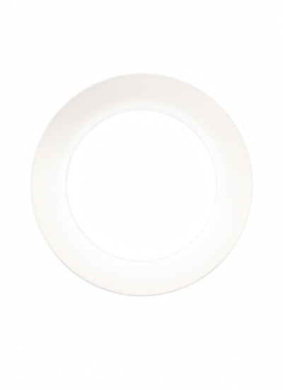 vivo v27e softlight light