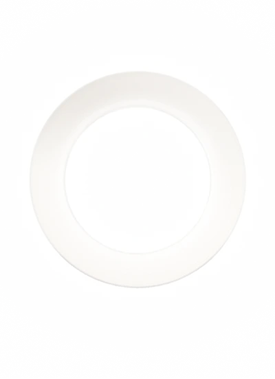 vivo v27e softlight light