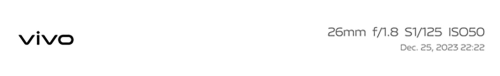 photo sample by vivo Y100 5G with stylish night filters