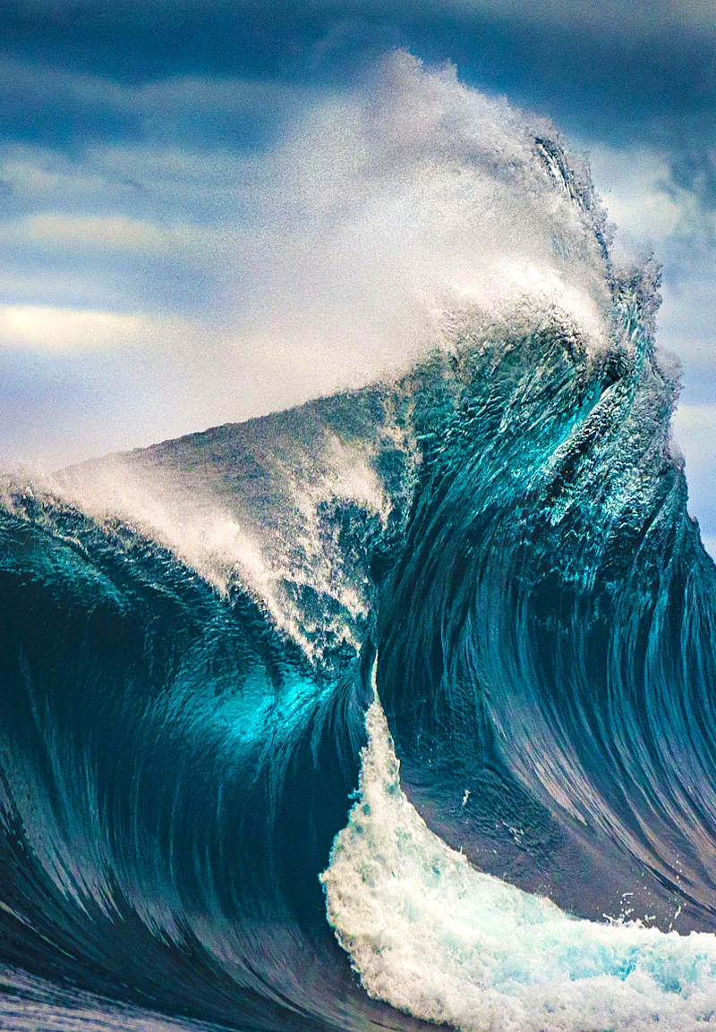 عيّنة صور تم التقاطها بواسطة هاتف Y28 من vivo مع لقطات واضحة من كل زاوية