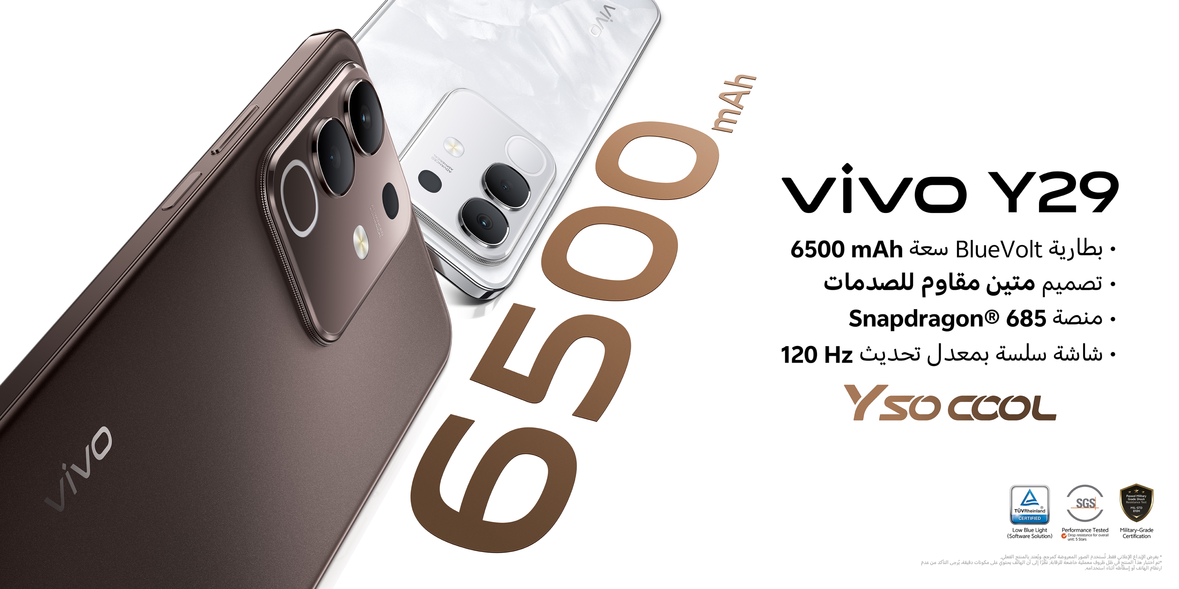 vivo Y29 4G