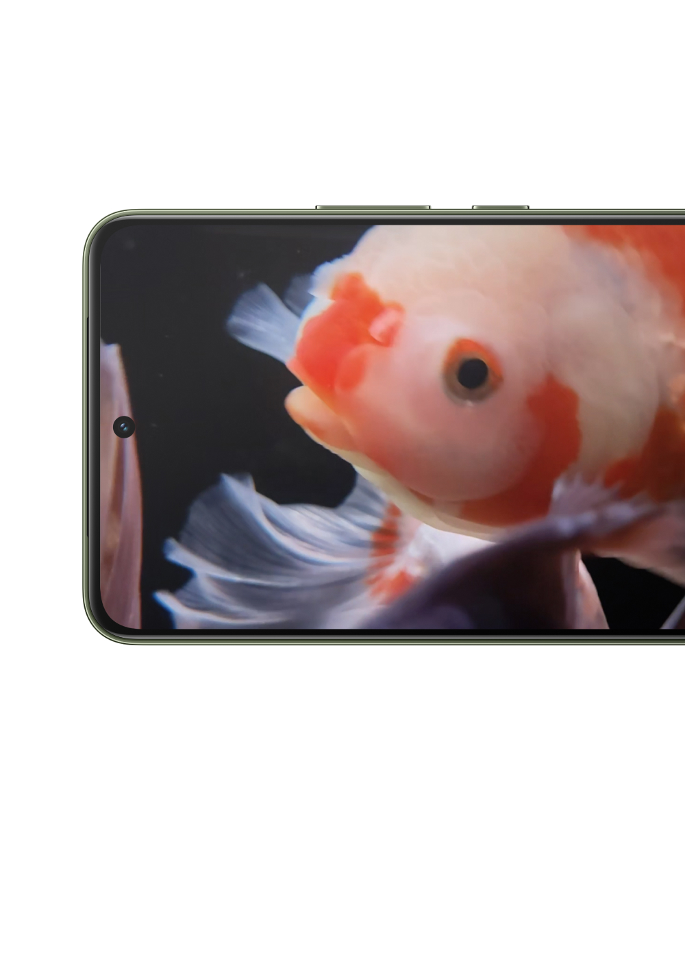 vivo Y400 with Underwater Photography Function