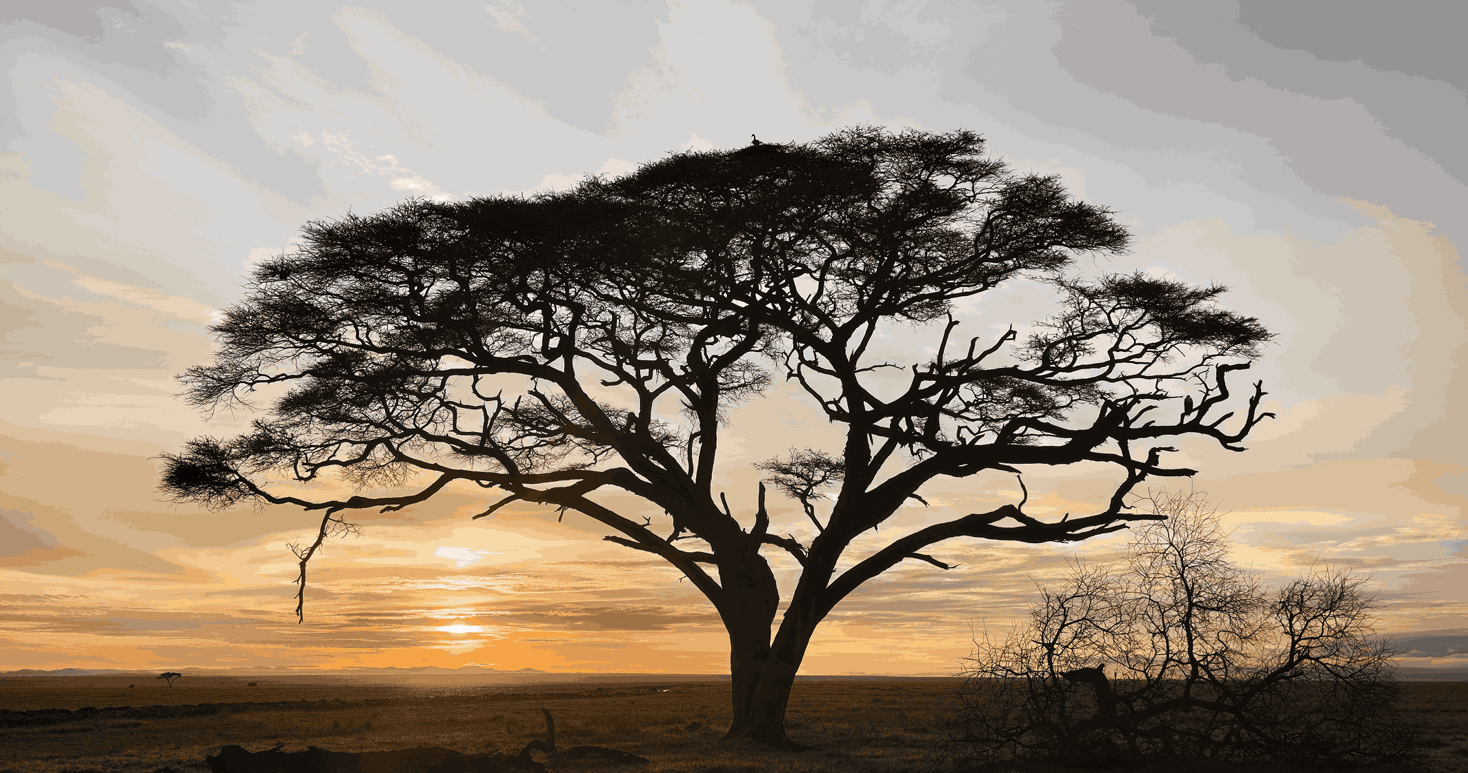 High‑Dynamic-Range Landscape