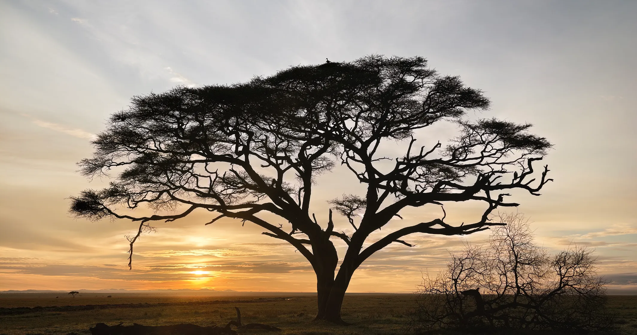 Landscape photo taken by vivo X300 Ultra High-Dynamic-Range Landscape function