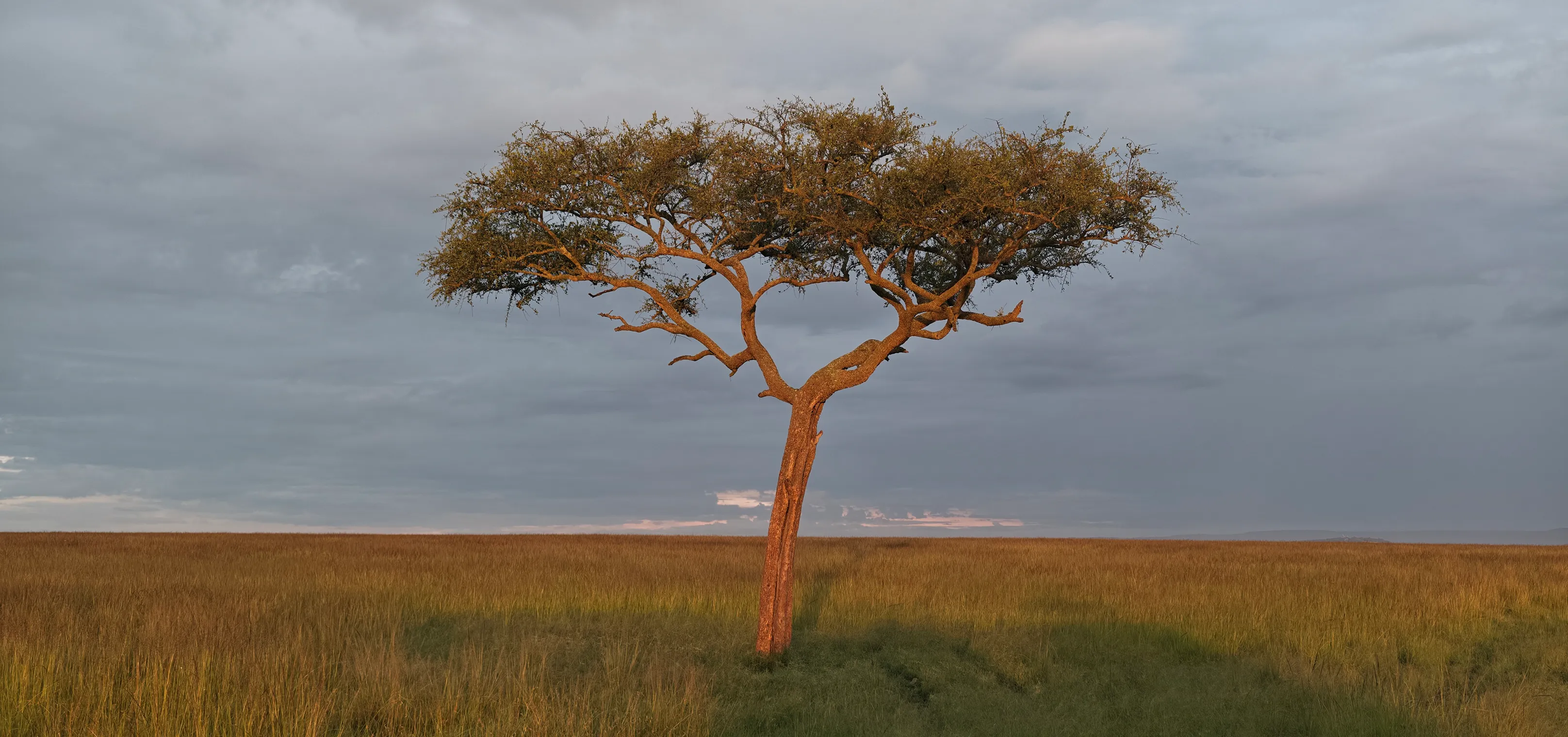 photo taken with vivo X300 Ultra featuring vivo Refined Color