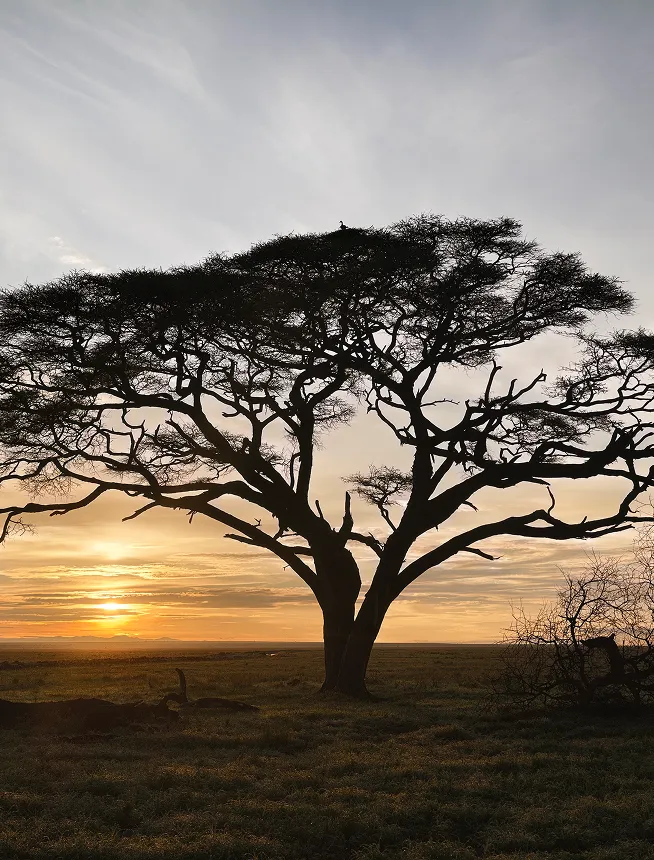 Landscape photo taken by vivo X300 Ultra High-Dynamic-Range Landscape function