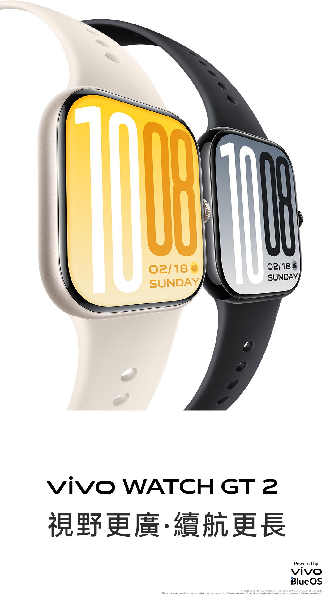vivo WATCH GT 2