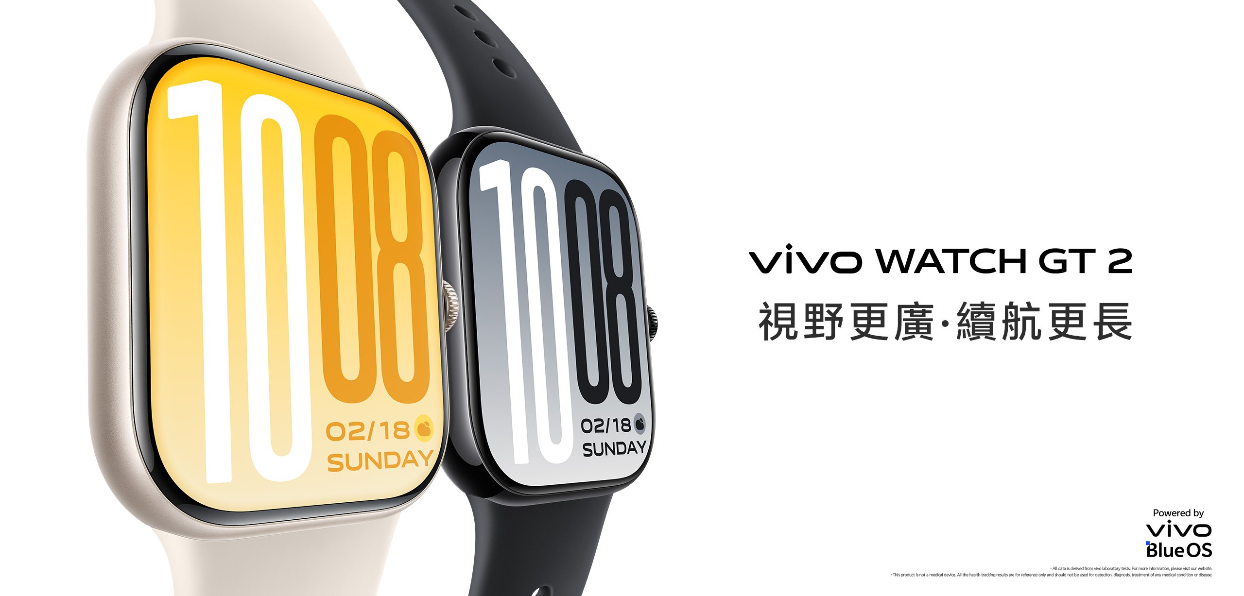 vivo WATCH GT 2