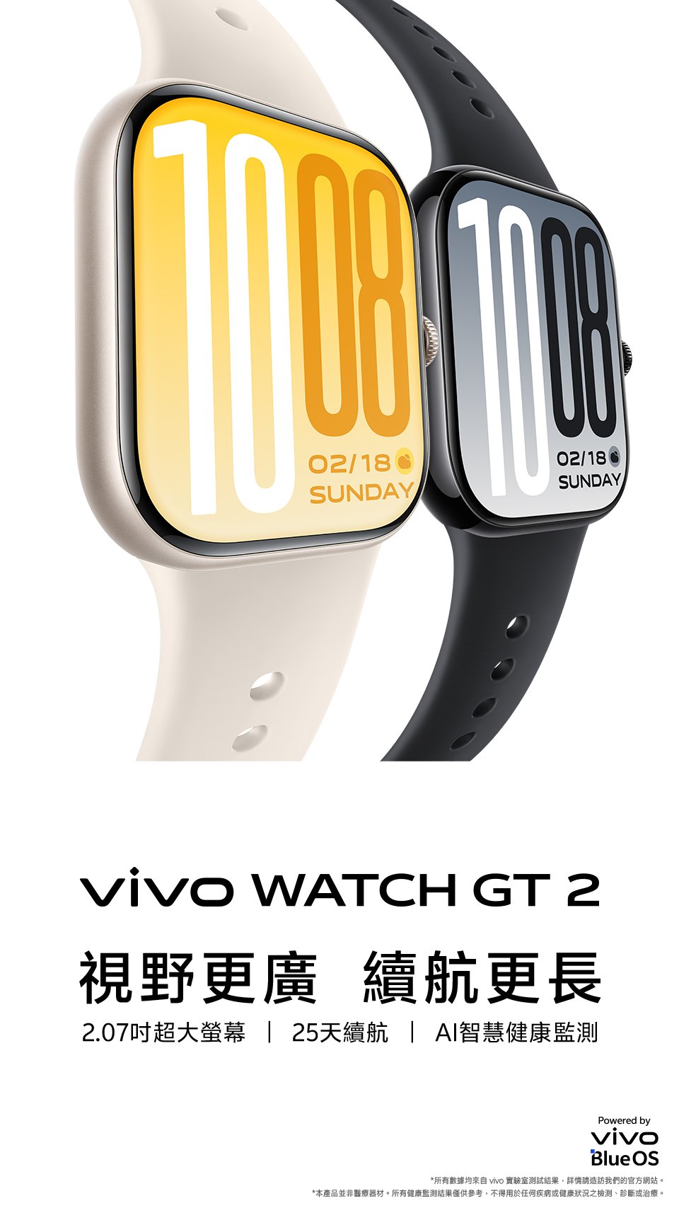 vivo WATCH GT 2