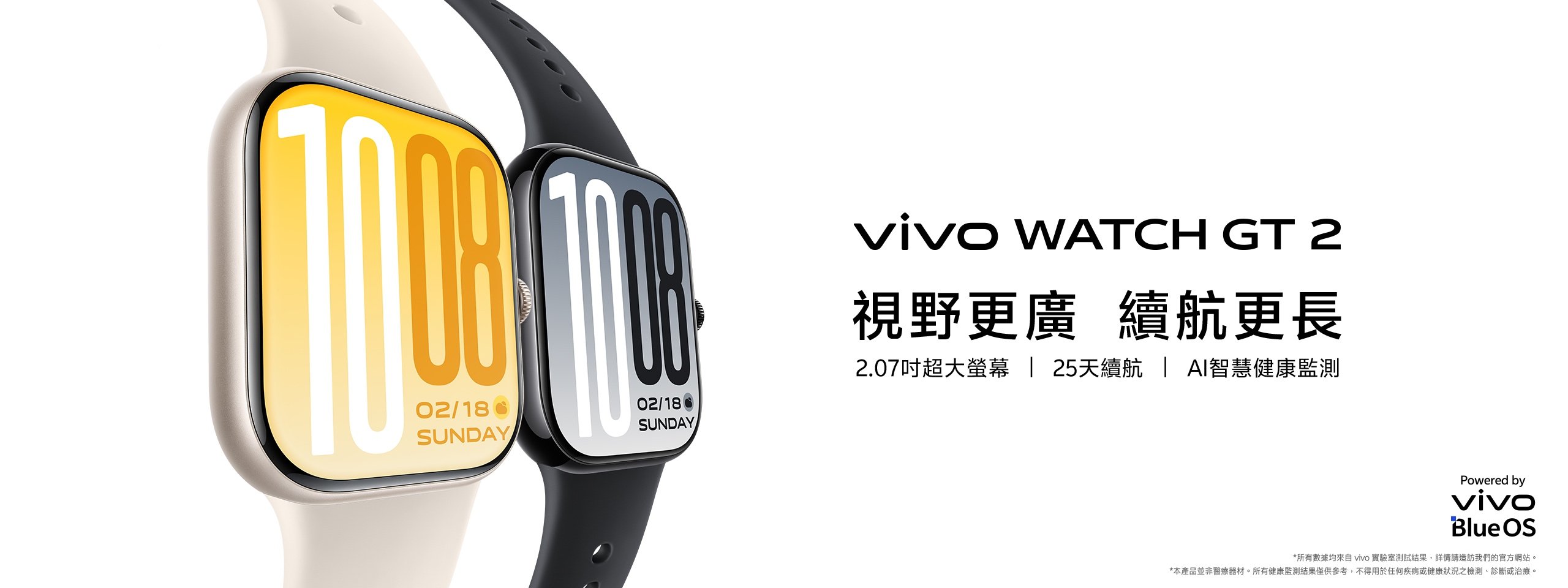 vivo WATCH GT 2