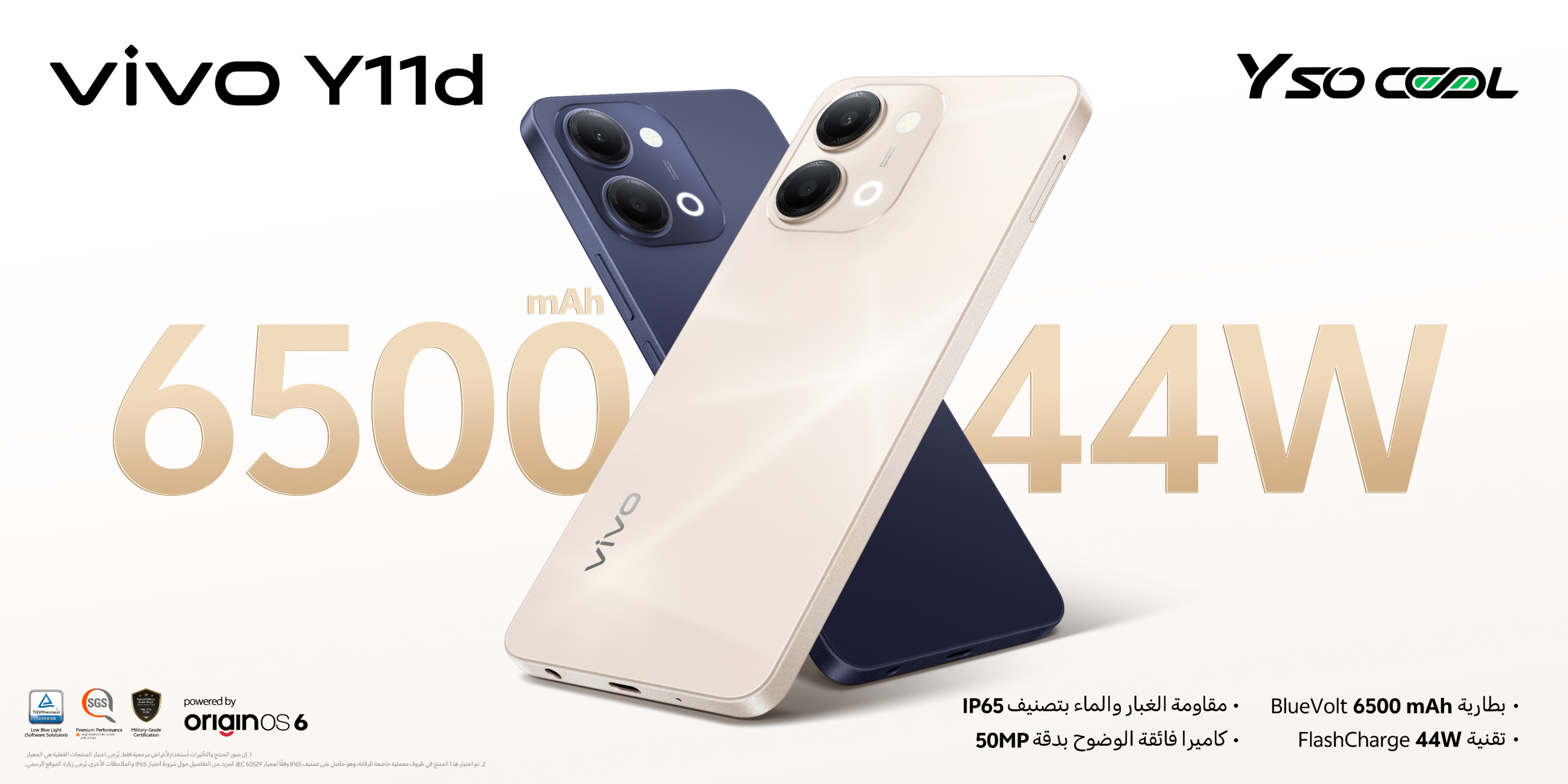 vivo Y11d